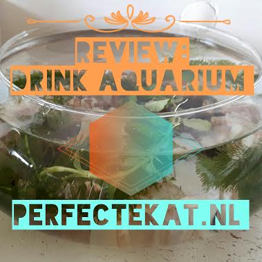 Drinkbak review: drink aquarium